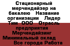 Стационарный мерчендайзер на бакалею › Название организации ­ Лидер Тим, ООО › Отрасль предприятия ­ Мерчендайзинг › Минимальный оклад ­ 25 000 - Все города Работа » Вакансии   . Архангельская обл.,Северодвинск г.